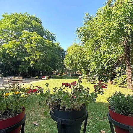 Orangerie De - - Bed and breakfast Cardet